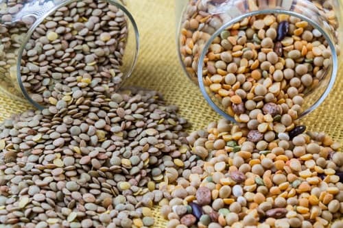 تصویر 3 از قیمت عدس درشت + خرید باور نکردنی